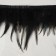 Braid with feathers of a rooster, 10-15 cm, 5 ± 0.5 m, black color