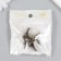 Corner (leg) for the casket metal "reptile" (set 4 pcs) 1.5x2x1.5 cm