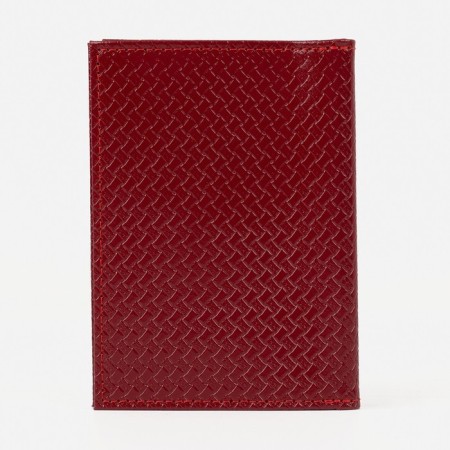 Cover for autoDocations and passports, red color-1