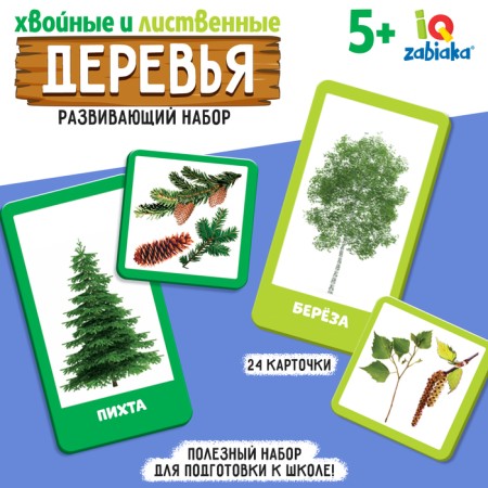 Developing set "coniferous and deciduous trees"