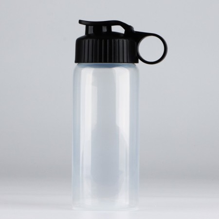 Water bottle "View 1", 450 ml