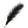 Feather for decor, size: 25-30 cm, black color