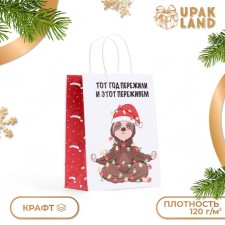 New Year. The package of a paper gift New Year craft, 