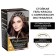 Hair dye L’Oreal Preference Recital "Notre Dame", tone 5.21, deep-light chestnut