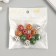 Beads tree for creativity "Round. Stripes" d = 1.6 cm set 12 pcs