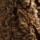 Shelter for terrarium, oak bark, d = 5 - 15 cm, length 15 cm