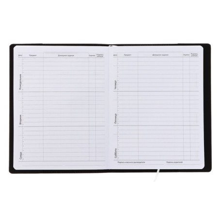 Universal diary for grade 1-11 Black, soft cover, artificial leather, heat embossing, liesse, 80 g/m2-4