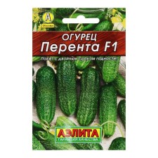 Seeds of cucumber 