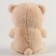 Soft toy "Bear" with a bow, 22 cm, beige color