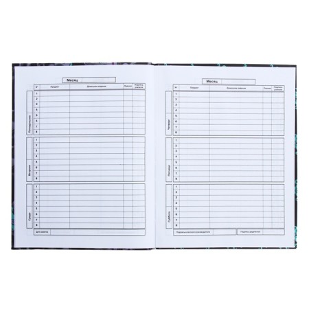 Universal Diary Grade 1-11, 48 sheets "Monster Call", integral cover, matte lamination, selective UV-fluid, congructor-7