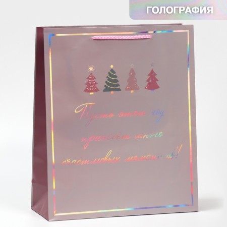 Holographic vertical package “Moments”, 26 x 32 x 9 cm, New Year-1