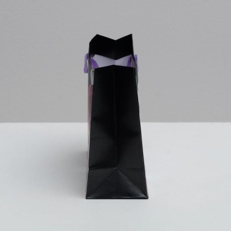 Package Gift Laminated Horizontal, Packaging, Flowers, 22 x 17.5 x 8 cm-2