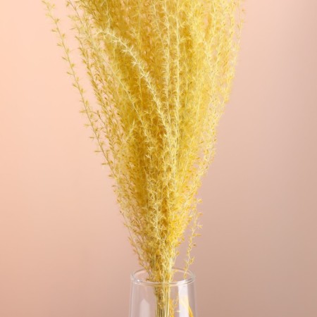 Set of dried flowers "Miscantus", banch 3-5 pcs, length 60 (+/- 6 cm), yellow-1