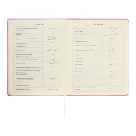 Universal diary for grade 1-11 Cherry Blossom, hard cover, artificial leather, foamy, foil, liesse, 80 g/m2-9