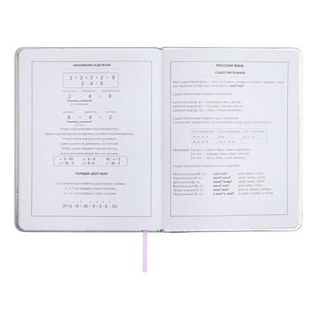 School diary for grades 1-11 "cat", firm covering with foam, artificial leather, application, foil embossing, liesse, 48 sheets, universal cheat sheet, block 80g/m2-12