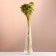 Set of dried flowers "yarrow", banch length 50 (+/- 6 cm), green