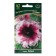 Petunia flowers are excellent "pink" 10 pcs