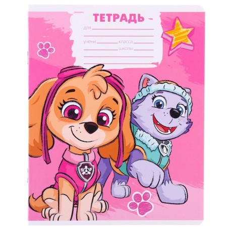 Notebook in a large cage 12 sheets, 5 types of mix, cover coated cardboard, puppy patrol-6