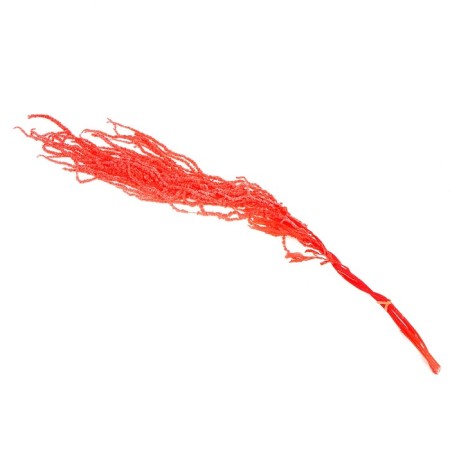 Dry amaranth flowers, 100 g, sheet size: from 50 to 60 cm, pink color-3