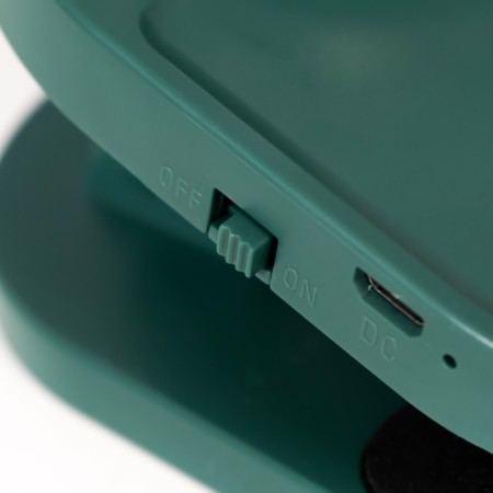 Bloom Bloom Table Lamp LED 3W AKB USB Green 8x12x42.5 cm Risalux-9