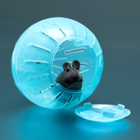 A ball for rodents 10 cm, blue-2