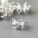 Decor "Crown", silver color