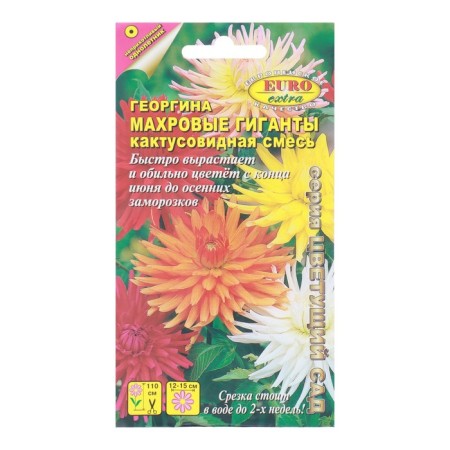 Georgin's flowers "terry giants", a cacti -shaped mixture, 0.2 g