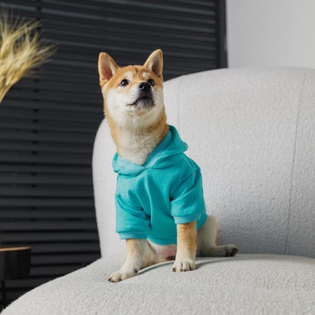CHAMPION Holstery for dogs (footer), size S (DS 23, Osh 32-34, OG 40-44), Blue-6