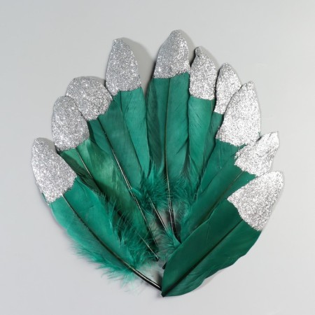 A set of goose feathers 15-20 cm, 10 pcs, dark green with silver chips-1