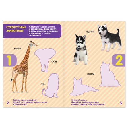 Book with stickers "Account", 12 p.-1