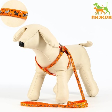 Set "Dogs", leash 120 x 1 cm, og 23-35 cm, orange