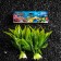 Set of artificial plants for aquarium (2 pcs), 11.5 cm