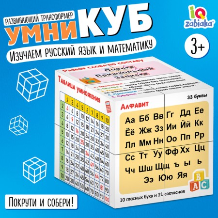Developing transformer "Cleeps: Russian language and mathematics"