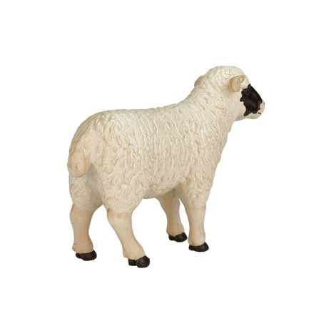 Figure Konik "Scottish black -headed sheep"-2