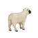 Figure Konik "Scottish black -headed sheep"