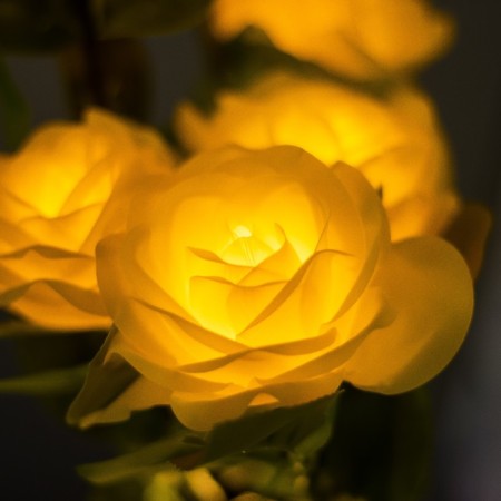 Night Rose 5XLED 4000K yellow 20x20x50cm Risalux-3