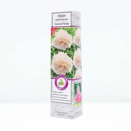 The tree pion "snow pagoda", tube, 1 pc, spring 2025