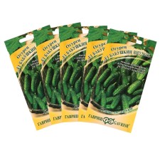 Cucumber seeds 