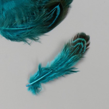 Decorative pheasant feather "Rice. Blue" set 20 pcs h = 5-7 cm-1