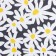 Lovelife 2Ps “Chamomile” 175*215cm, 200*225cm, 50*70cm-2pcs.