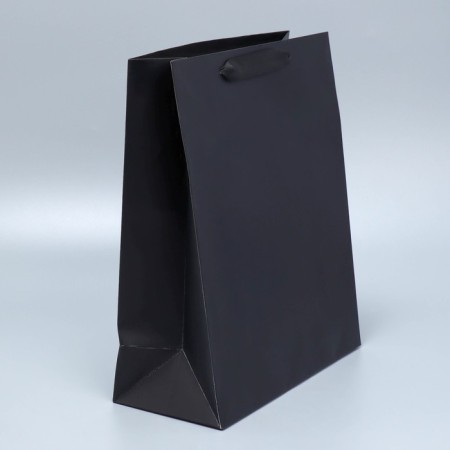 Gift Package Laminated, Packaging, Black, M 26 x 30 x 9 cm-1