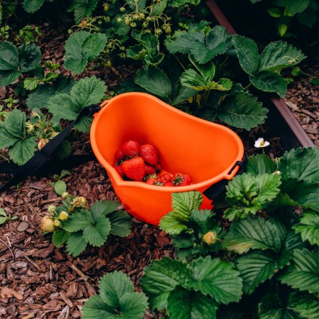 Berry collection container, 3 l, orange-12