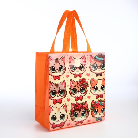 Cat Bag, 23*12*25, Department without lightning, pink