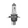 Hageline lamp AVS VEGAS, H4.12 V, 60/55 W