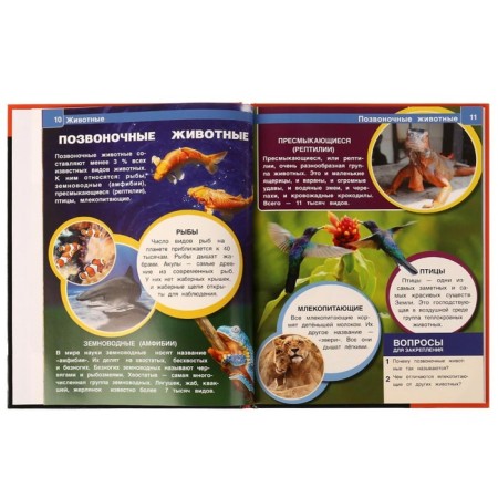 Animals. Encyclopedia A4. 48 p.-3