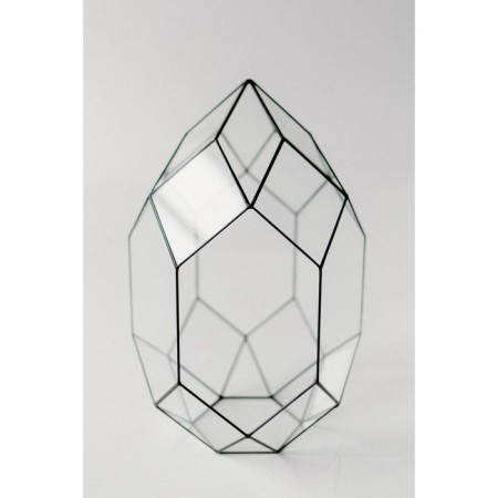 Florarium "Orchimania", sutures silver-2