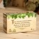 Salt bricket set for the bath "Bath owner", eucalyptus