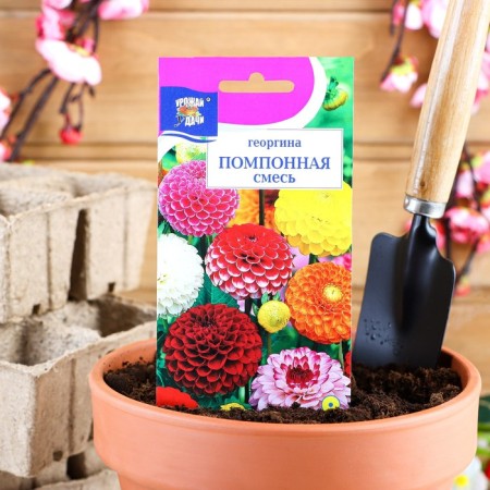 Georgin's flowers mixture "Pomopone", 0.2 g