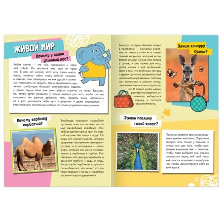 The teaching book “How, why, why? Living World ”, 20 p.-1
