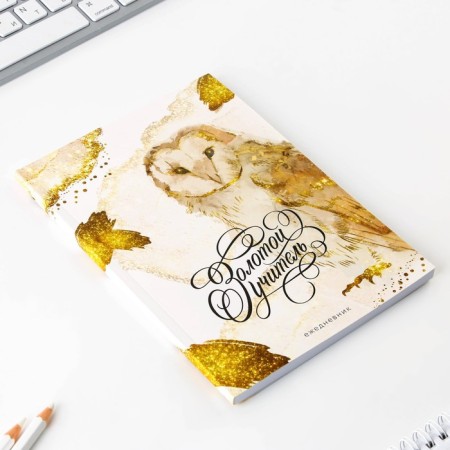 Golden Teacher gift set: A5 diary, 80 sheets, pen, stickers, thermostatic 350 ml and magnetic bookmarks-2